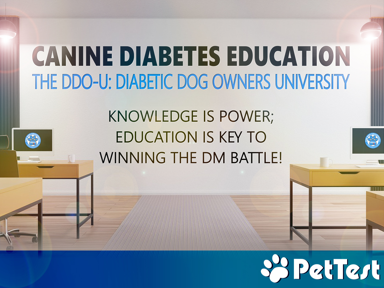 Canine Diabetes Education The DDOU Diabetic Dog Owners University