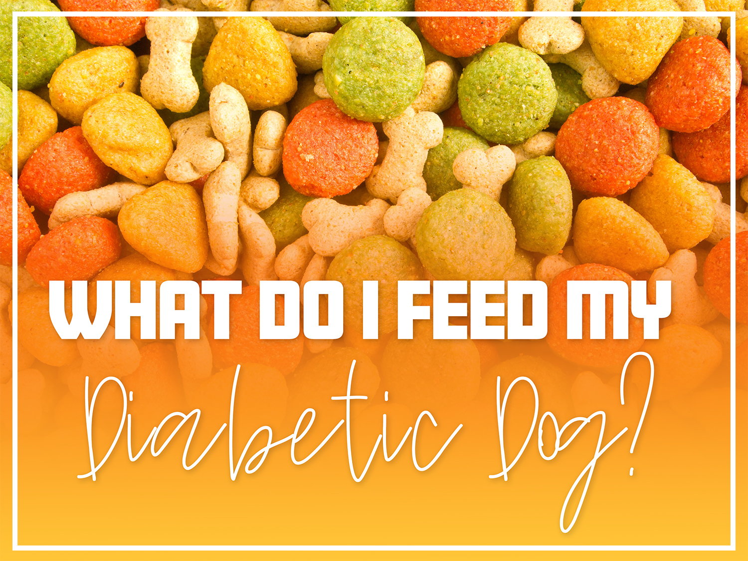 What Do I Feed My Diabetic Dog PetTest By Advocate