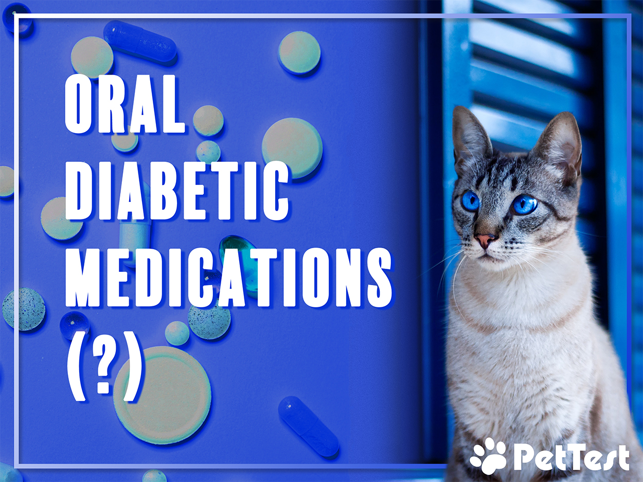 Oral Diabetic Medications PetTest by Advocate