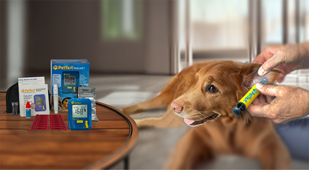 petlinkpainless.png