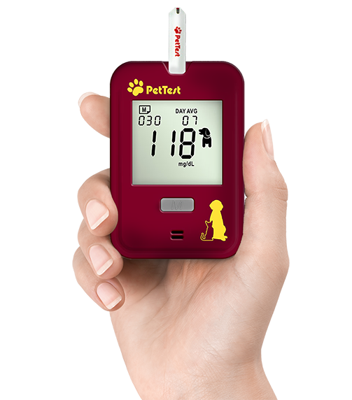 pettest-meter-in-hand.png