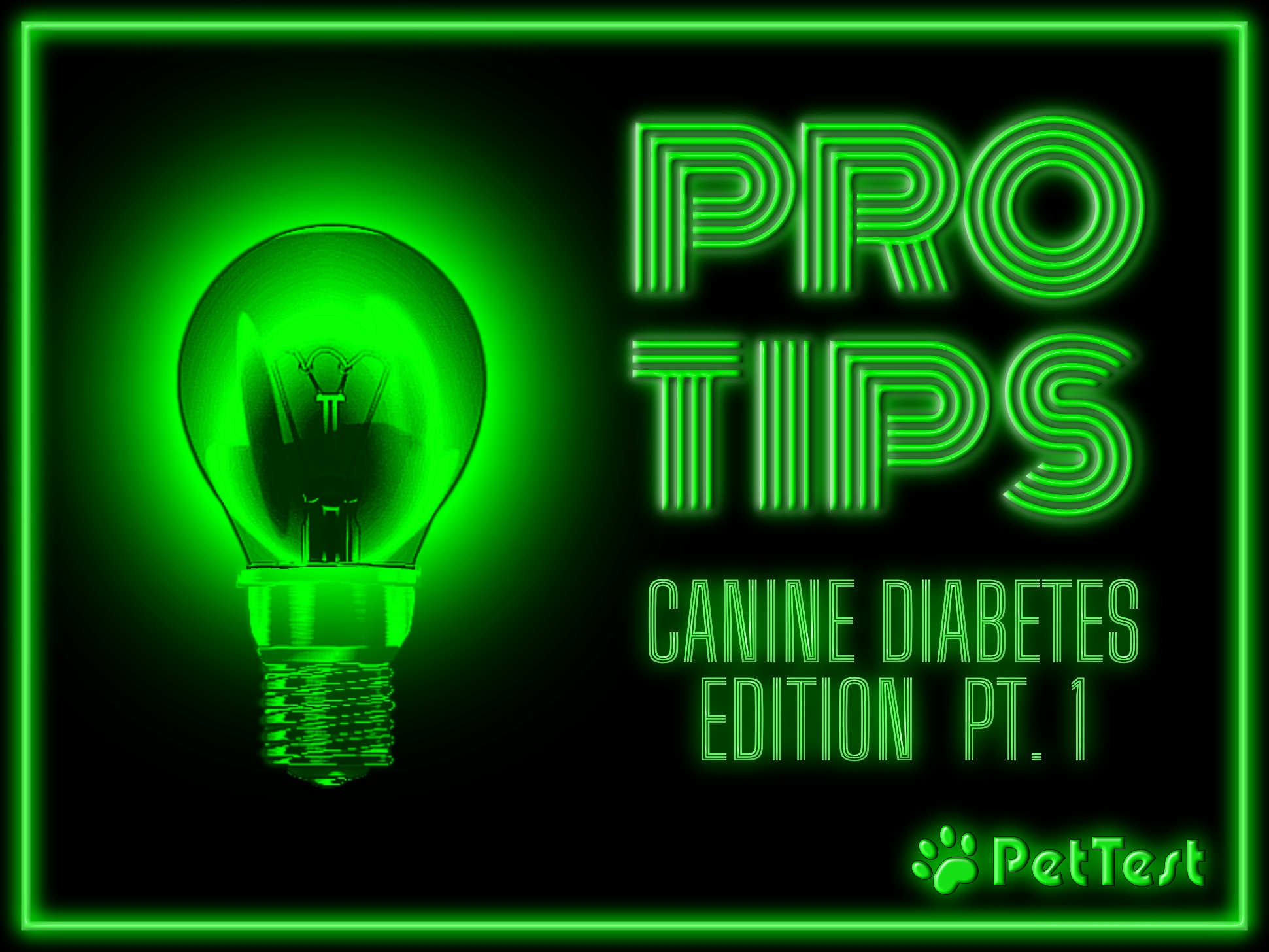 Pro Tips Canine Diabetes Edition Pt. 1 PetTest by Advocate