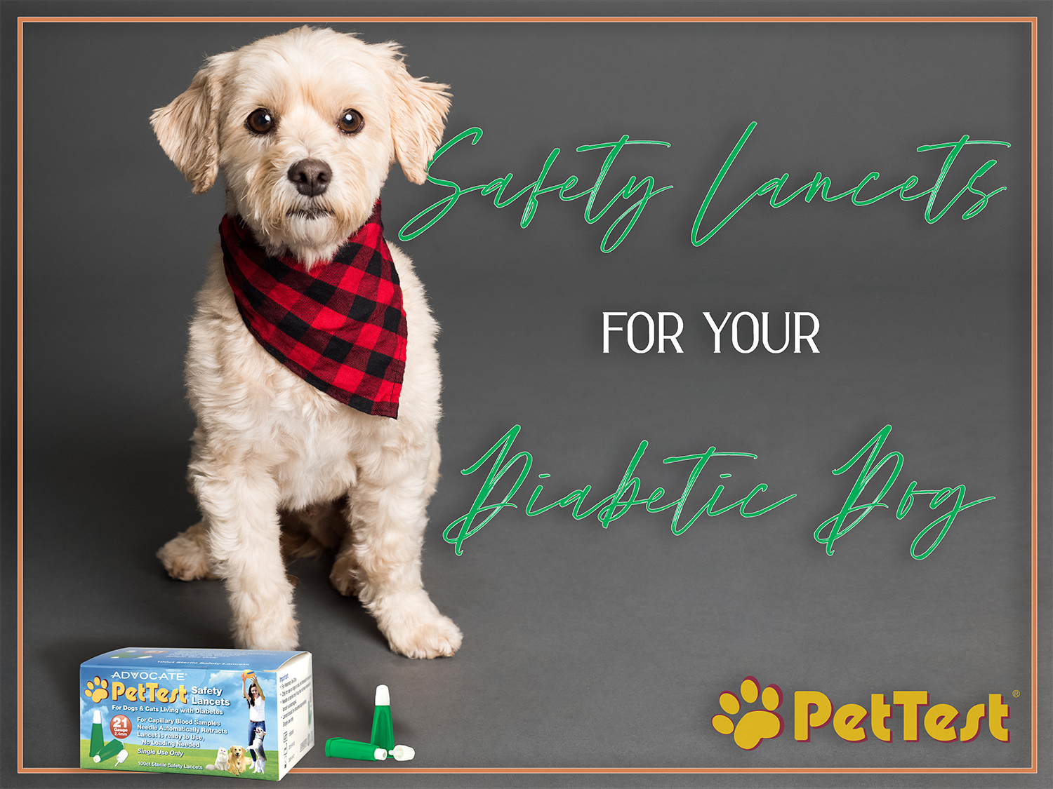 Safety Lancets for Your Diabetic Dog PetTest by Advocate