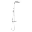Phase Thermostatic Shower Column
