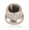 ARP 1/4-28 SS 12pt Nut Kit - 400-8300 Photo - Primary