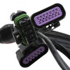 Holley EFI Terminator Stealth 2x4 MAIN HARNESS (HOE-2558-121)