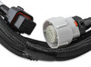 Holley EFI GM 4L60/80E Transmission Harness (HOE-2558-405)