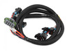 Holley EFI INJECTOR HARNESS - EARLY TRUCK (HOE-1558-214)