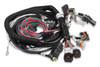 Holley EFI Gen III HEMI Main Harness , Late, w/TPS and Idle Air Control Connections (HOE-2558-116)