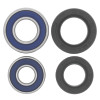 QuadBoss Qboss Wheel Bearing Kit (Ea) - 413296 Photo - Primary