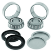 QuadBoss Qboss Swingarm Bearing Kit - 413436 Photo - Primary