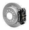 Wilwood Disc/Drum Rear Kit FDPLP-DS Big Ford - 140-15602 Photo - Primary