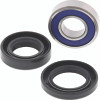 QuadBoss Steering Stem Bearing Lower - 411433 Photo - Primary