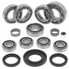 QuadBoss Qb Transaxle Bearing Kit - 417759 Photo - Primary