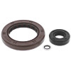 QuadBoss Oil Seal Set - 564216 Photo - Primary