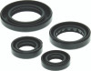 QuadBoss Qb Oil Seal Set - 564348 Photo - Primary