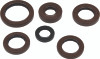 QuadBoss Qb Oil Seal Set - 564595 Photo - Primary