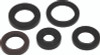QuadBoss Qb Oil Seal Set - 564785 Photo - Primary