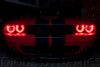 Diode Dynamics 15-21 Dodge Challenger RGBW DRL LED Boards - DD2002 User 1