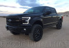 Diode Dynamics 15-17 Ford F-150/17-19 Ford Raptor Switchback LED Boards - DD2005 User 1