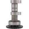 Hot Cams 10-13 YZ 450 F Intake Camshaft - Stage 1 - 4163-1IN User 1