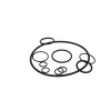 Peterson Fluid Systems O-Ring Rebuild Kit Dual Return Micron Tank - 08-9609 Photo - Primary