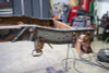 Rust Buster 73-87 Chevy C10 Rear Frame Repair Kit - Right - RB7377R Photo - Primary