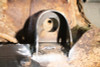 Rust Buster Avalanche/Suburban/Yukon Rear Body Frame Mount - RB7416 Photo - Primary