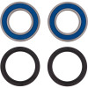 All Balls Racing Wheel Bearing Kit - 25-1832 Photo - Close Up