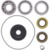 All Balls Racing Differential Kit - 25-2150 Photo - Close Up