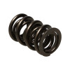 Manley Spring Retainer, RET-TI 10 DEG 1.625 DBL - 23640-16 Photo - Close Up