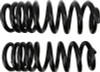 MOOG 99-14 Ford E-350 Super Duty Front Coil Springs - CC81368 Photo - Primary