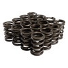 COMP Cams Single Spring w/ Damper - 1.486 in OD 1.850IH - 26911-16 Photo - Primary