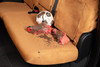 Covercraft 2026 Jeep Wrangler 2-Door (MT) Carhartt SeatSaver Custom Front Row Seat Covers - SSC2645CABN Photo - out of package