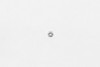 Wilwood nut 1/4-20 hex jamb chrome - 230-3569 Photo - Primary