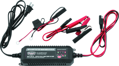Bike Master Intelligent Battery Charger Bm - 150909 Photo - Primary