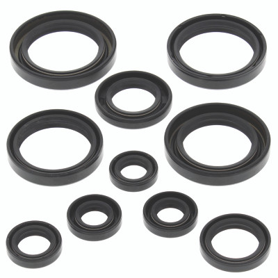 QuadBoss Qb Oil Seal Set - 564139 Photo - Primary