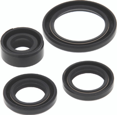 QuadBoss Qb Oil Seal Set - 564399 Photo - Primary
