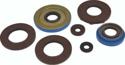 QuadBoss Qb Oil Seal Set - 564594 Photo - Primary