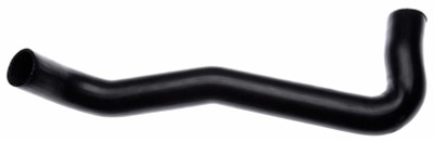 Gates 69-72 Chevrolet Corvette V-8 350 Lower Molded Coolant Hose - 20811 Photo - Primary