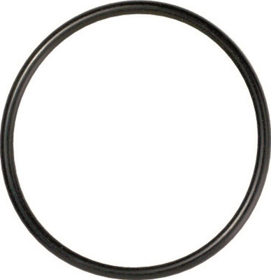 Gates 96-01 A4 (inc Quattro) / 95-04 A6 (inc Quattro) Thermostat Seal - 33613 Photo - Primary