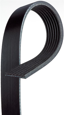 Gates 2006 Honda Civic 4-Cyl. 1.8L Serpentine Standard V-Ribbed Belt - 7PK2164 Photo - Primary