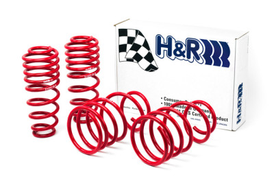 H&R 05-09 Ford Mustang/Convertible/GT/Shelby GT/Shelby GT-H V6/V8 Race Spring - 51655-88 Photo - Primary