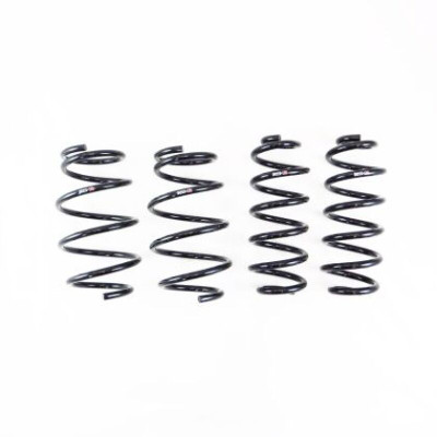 RS-R 05-08 Mazda Mazdaspeed 6 Down Sus Springs - M115D User 1