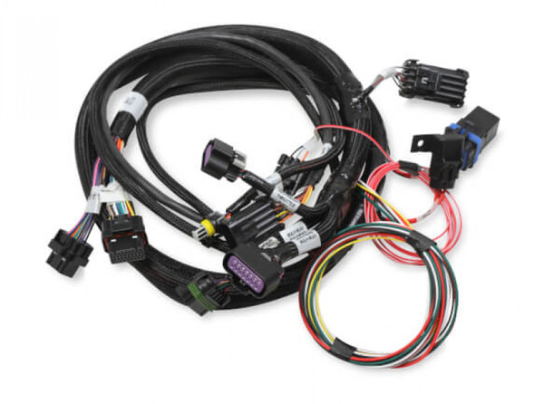 Holley EFI Terminator Stealth 2x4 MAIN HARNESS (HOE-2558-121)