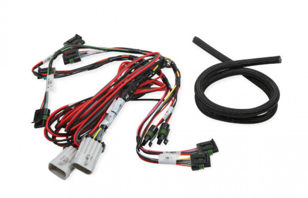Holley EFI C-N-P Ignition Sub Harness (HOE-2558-318)