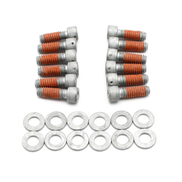 Wilwood DRILLED Rotor Bolt Kit 1/4-20x.75 LG - 230-15698 Photo - Primary