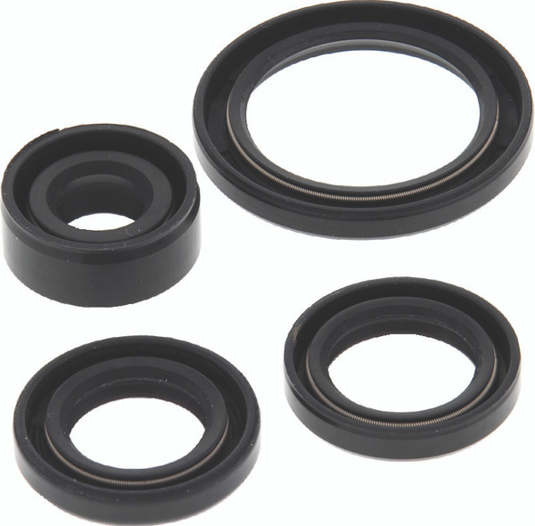 QuadBoss Qb Oil Seal Set - 564399 Photo - Primary