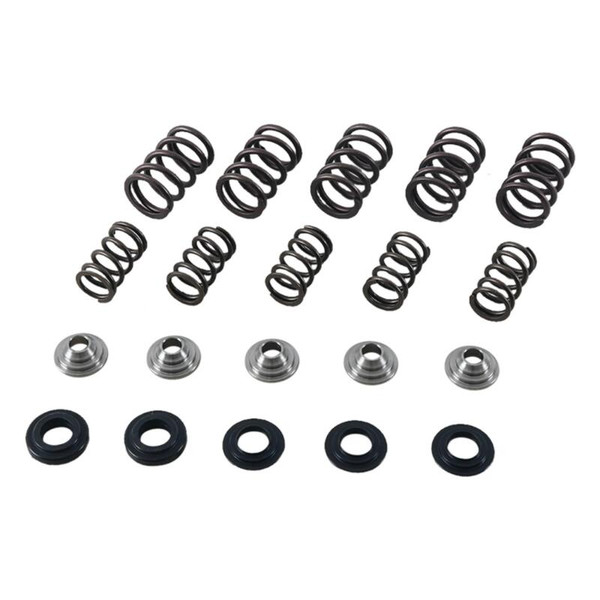 Hot Cams 01-05 YFM 660 R Raptor Valve Spring Kit - SKYFM660S2 User 1
