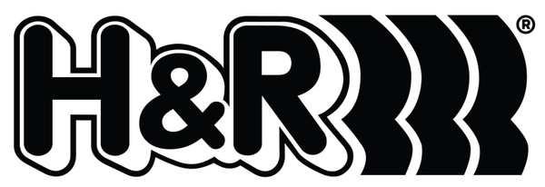 H&R 17-23 Audi R8 Coupe V10 Adaptive Suspension Electronic Bypass Module - 93015-1 Logo Image